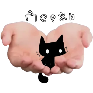 🐱