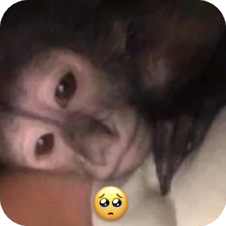 🥺