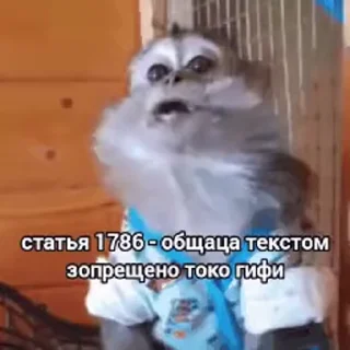 🤩