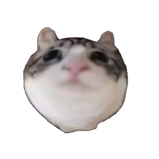 😮