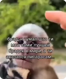 🌟