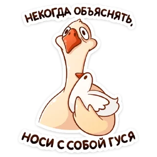 🐔