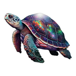 🐢