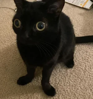 😐