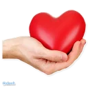 afasoft5