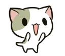 🐱