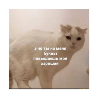 🥺