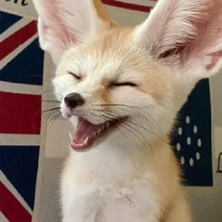 😄
