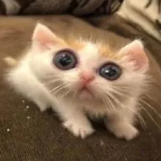 😮
