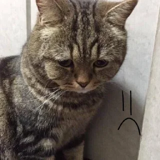 🤥