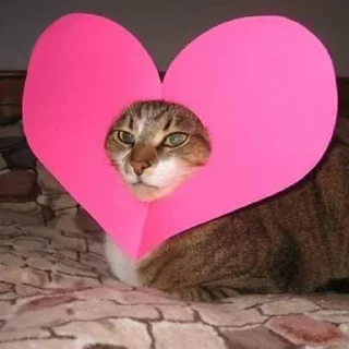 ❤️