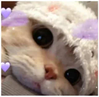 😇