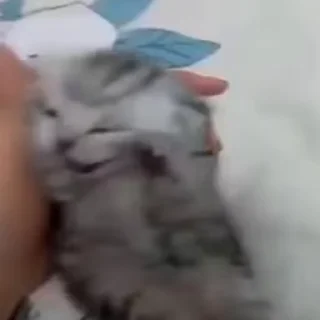 🤯