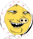 🐷