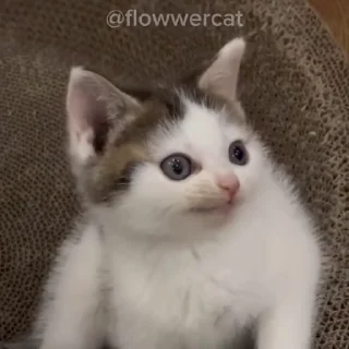😝