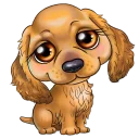 🐶