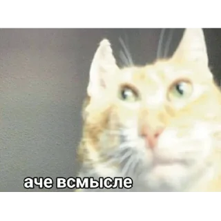 😐