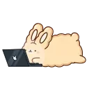 💻