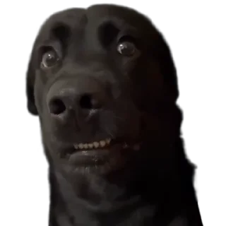 👀