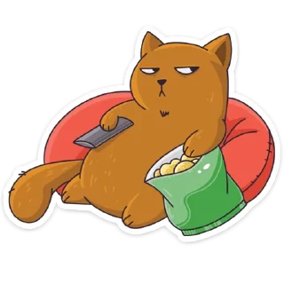 📺