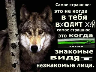 🐺