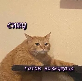 😠