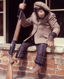 🐒