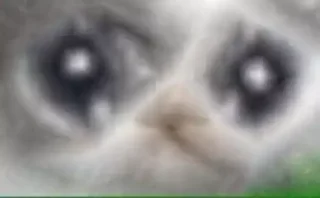 😐