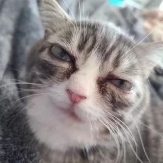 😐