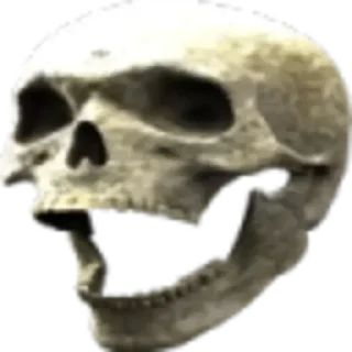 💀