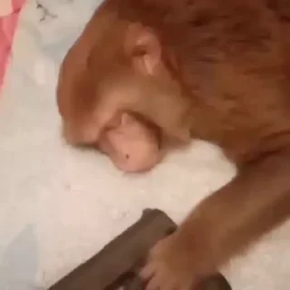 🔫
