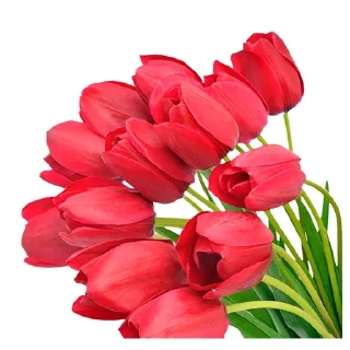 💐