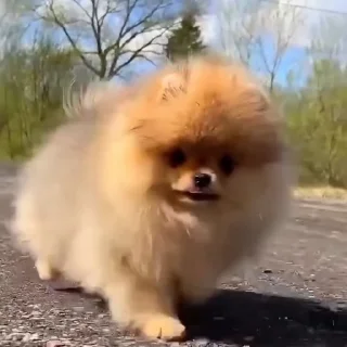🤩