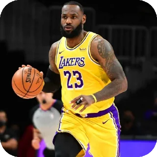 ⛹