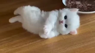 ☺️
