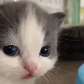 😥