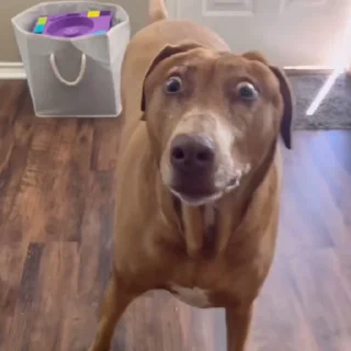 😨