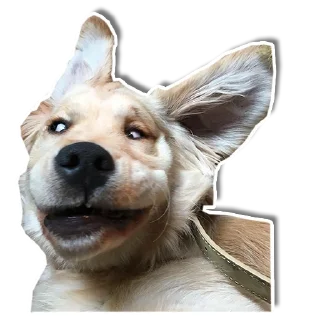 😀