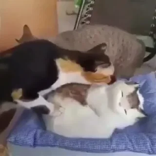 😳