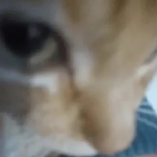 🤨