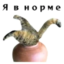 👍