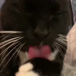 😊