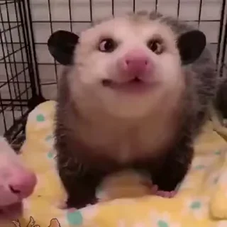 😁