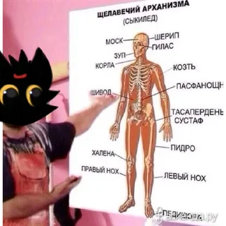🩻