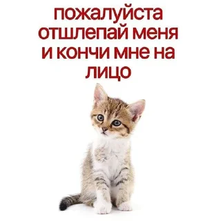 😊
