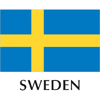 🇸🇪