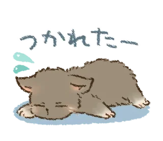 🐱
