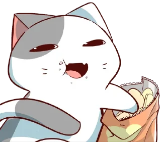 🐈