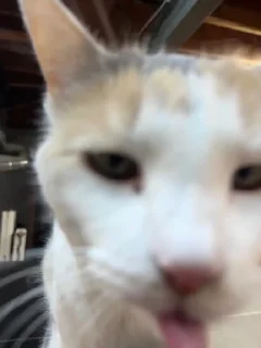 😛