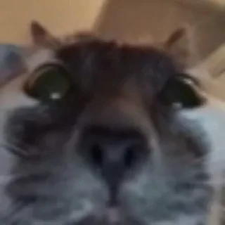 👀